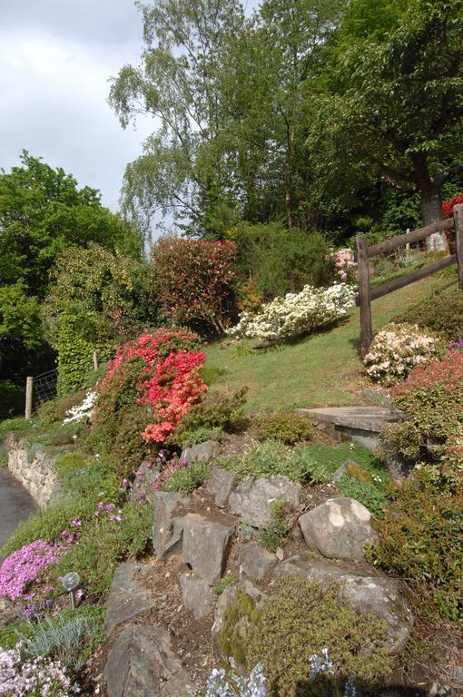 Dwy Olwyn Hotel Dolgellau Kültér fotó