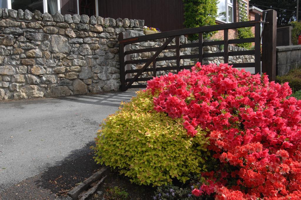 Dwy Olwyn Hotel Dolgellau Kültér fotó