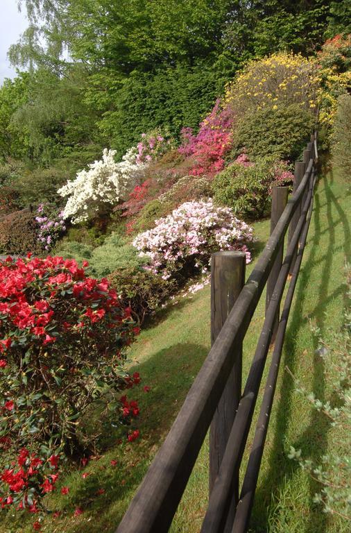 Dwy Olwyn Hotel Dolgellau Kültér fotó