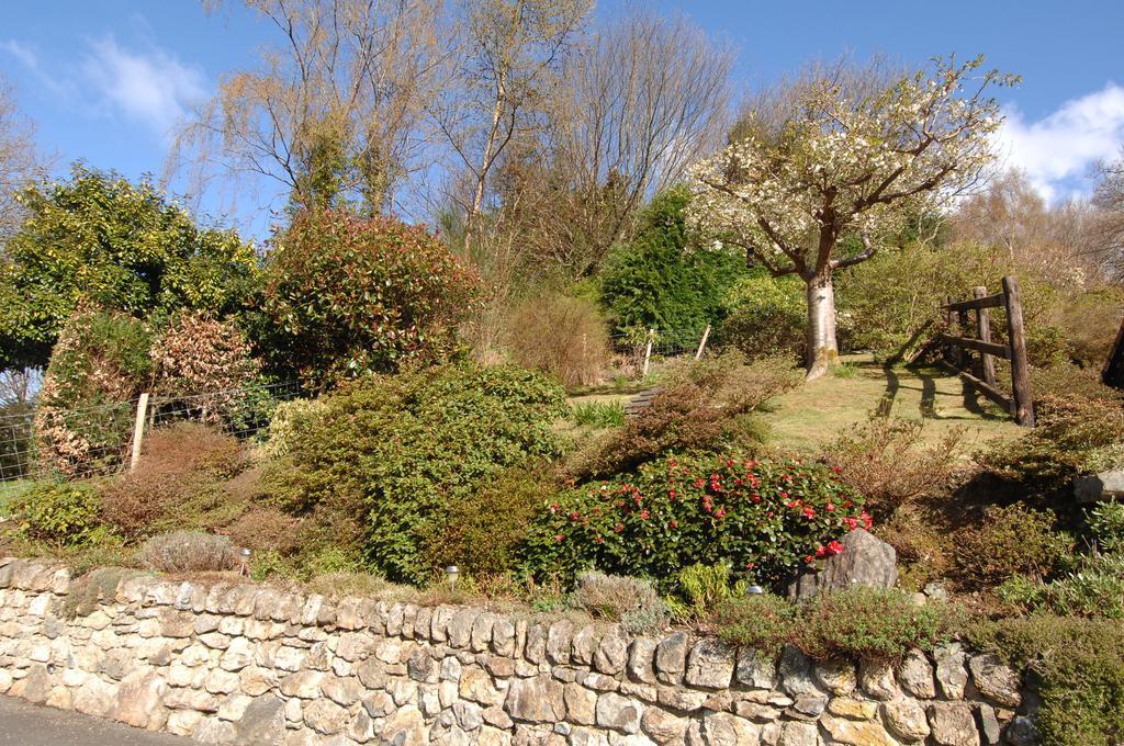 Dwy Olwyn Hotel Dolgellau Kültér fotó
